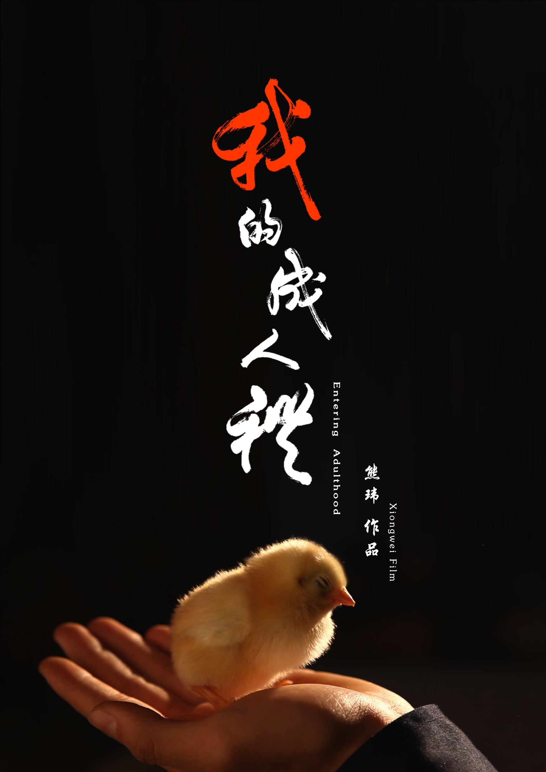 成人激情在线观看_计划版2.890.117